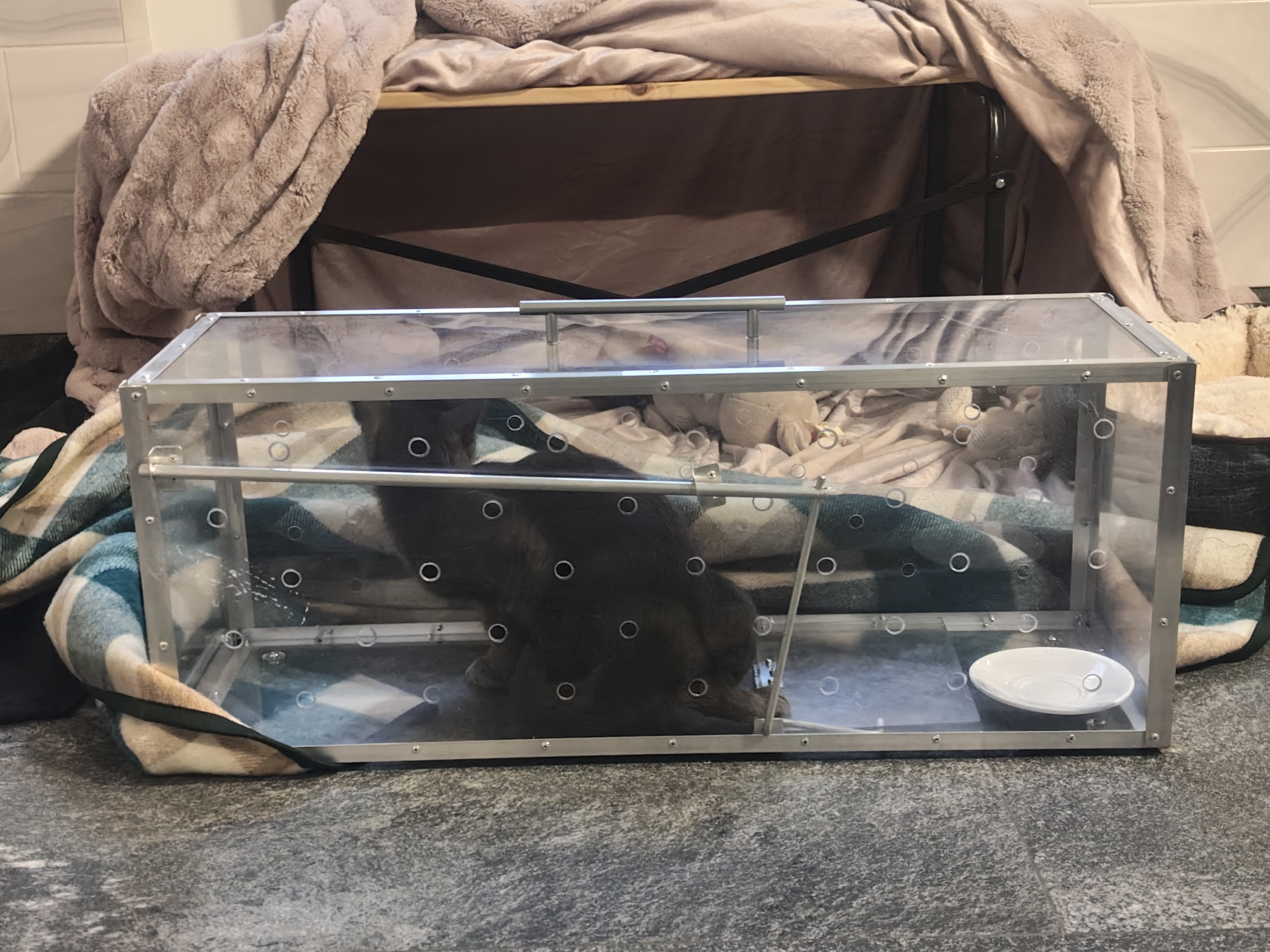 Котоловка Следопыт